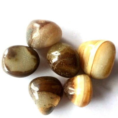Brown Agate Tumbles