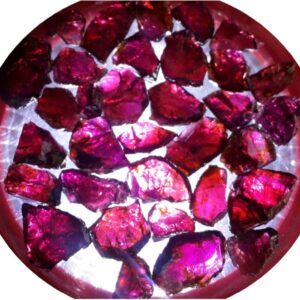 Garnet Purple